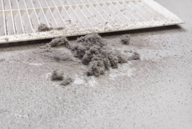 Best Best Air Duct Cleaning Near Me  in Ava, MO