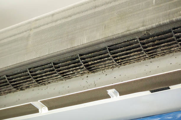 Best Commercial Air Duct Cleaning  in Ava, MO