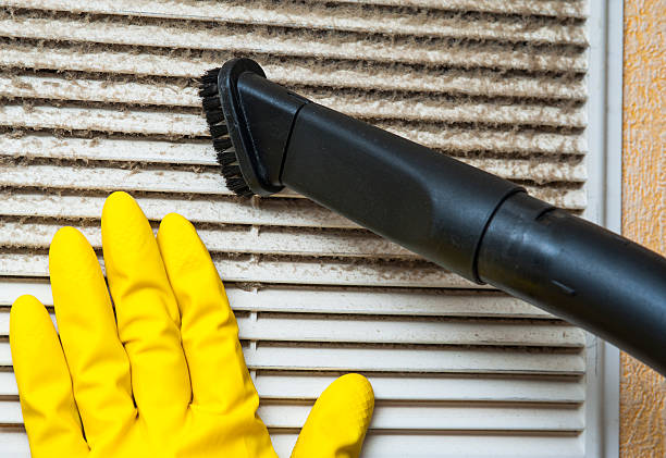 Best Local Air Duct Cleaning Services  in Ava, MO